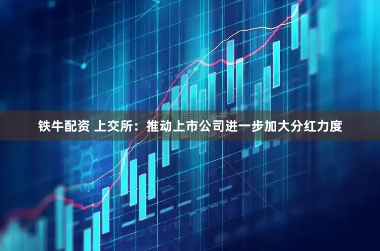 铁牛配资 上交所：推动上市公司进一步加大分红力度