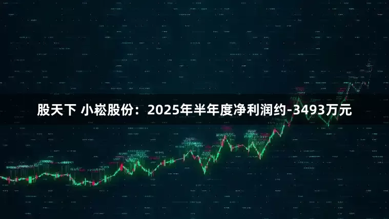 股天下 小崧股份:2025年半年度净利润约-3493万元