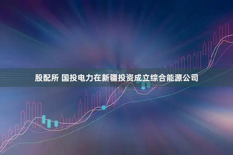 股配所 国投电力在新疆投资成立综合能源公司