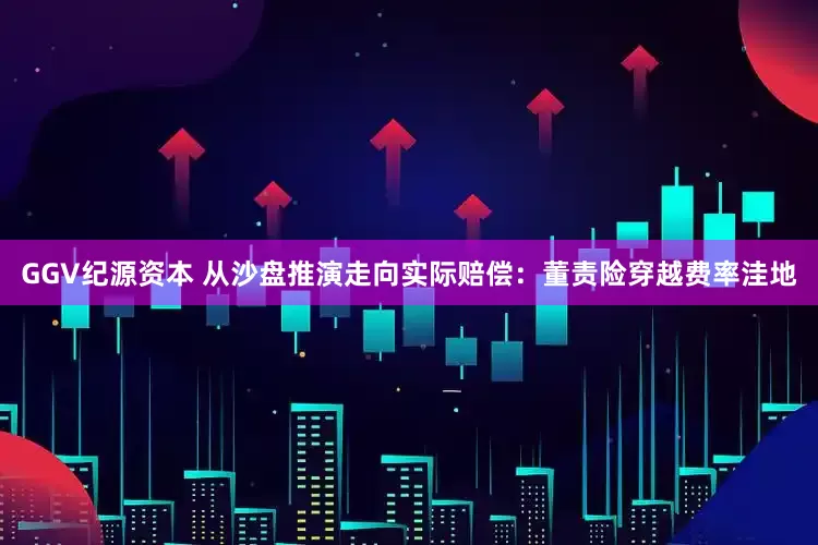 GGV纪源资本 从沙盘推演走向实际赔偿：董责险穿越费率洼地